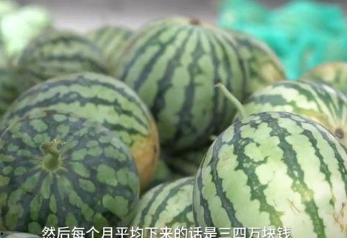 万喜麓九吃瓜,揭秘九大神秘吃瓜事件背后的真相