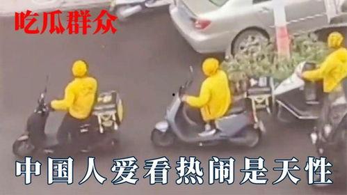 吃瓜看热闹不分物种,人兽共赏的看热闹世界