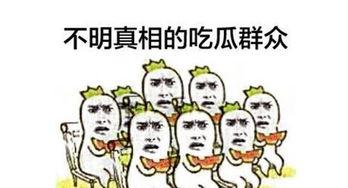 听歌吃瓜群众,揭秘娱乐圈幕后故事