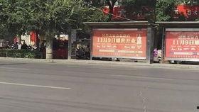 坐着吃瓜的鸭子,闲话人生