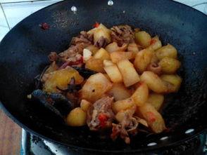 小鸡吃瓜怎么做,趣味盎然的田园生活瞬间