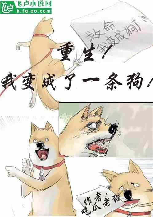 吃瓜抓紧小说,揭秘小说中的幕后真相