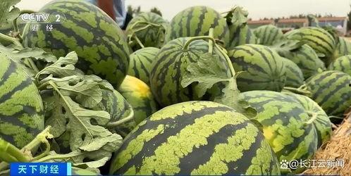 全公司同事吃瓜,吃瓜狂欢背后的团队凝聚力