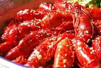 龙虾吃不吃水瓜,探寻海洋美食与田园佳肴的奇妙邂逅