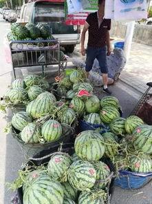 如皋吃瓜事件视频最新,一场网络热议背后的真相揭秘