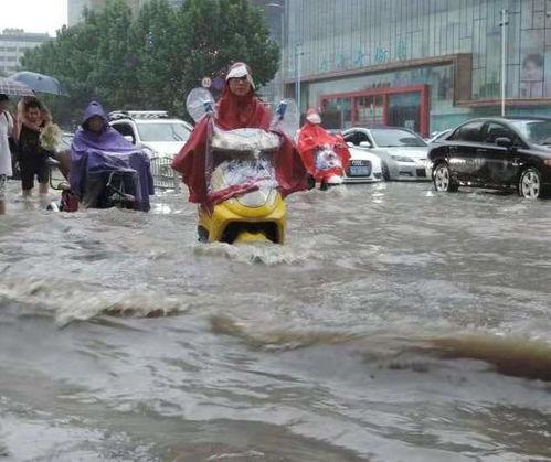 东莞暴雨吃瓜事件,一场网络热议的雨中奇观