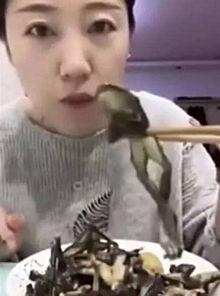 表哥吃瓜主播视频,一场视觉盛宴的直播奇观