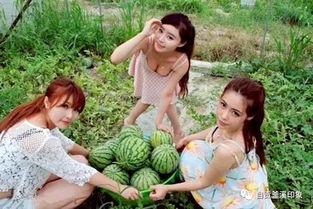 沈狱初吃瓜,揭秘娱乐圈背后的惊人真相