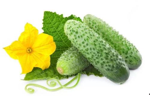 吃瓜系统苏月月,吃瓜系统背后的神秘女子