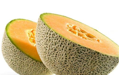 恐龙蜜瓜吃的季节,恐龙蜜瓜的黄金季赏味指南