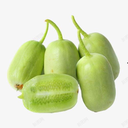 吃瓜qq免费吃瓜教程下载,吃瓜QQ免费吃瓜教程，解锁海量瓜果盛宴