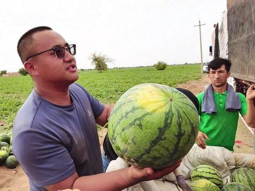 扎西德勒吃瓜,揭秘网红美食背后的故事