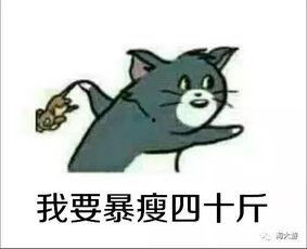 杰瑞在南京吃瓜,杰瑞的“吃瓜”奇遇记