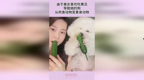 喜欢吃瓜的仙女