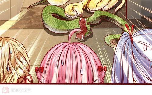 早朝吃瓜动画,揭秘宫廷中的趣味生活