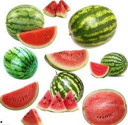 朝南吃瓜,揭秘吃瓜群众的趣味生活