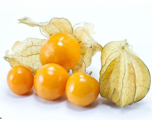 姑娘景点全程吃瓜