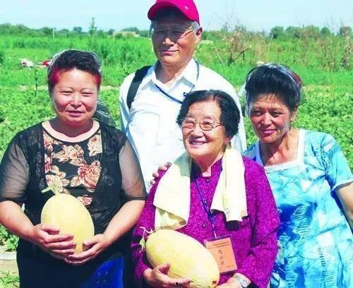 吃瓜教授和学生,一场别开生面的校园风云录