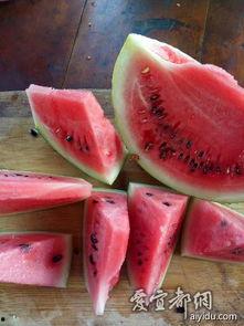 广告公司吃瓜,一场吃瓜大戏背后的真相揭秘