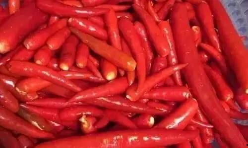 吃瓜篓副作用,健康隐患不容忽视