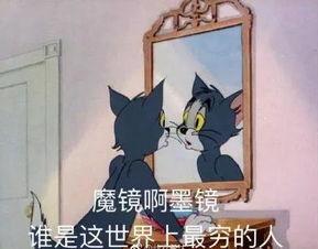 汤姆猫吃瓜引发血案,引发血案震惊全网