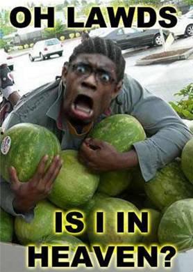 罗伯特吃瓜群众