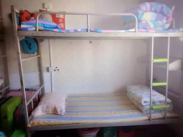 大学宿舍女神吃瓜,揭秘校园里的甜蜜秘密