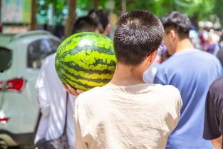 别人结婚我吃瓜