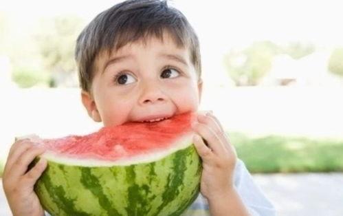 吃瓜小熊2025,吃瓜小熊的瓜界风云录