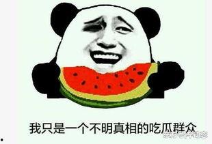 吃瓜事件6,揭秘网络舆论背后的真相与争议