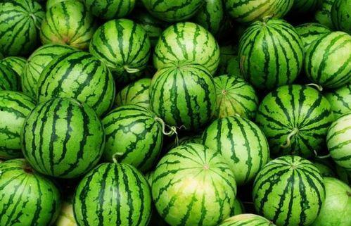 夏季吃瓜看星星,吃瓜赏星，尽享清凉时光