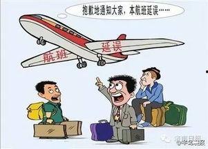 在航班上吃瓜,航班上的瓜果时光