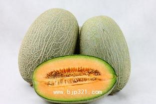 什么时间吃哈密瓜