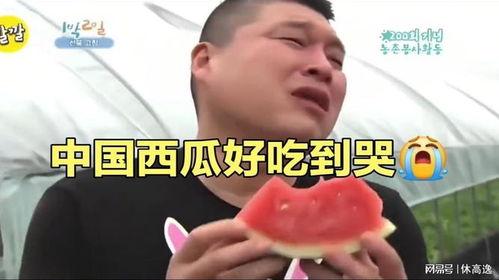 吃瓜韩国在线观看,揭秘娱乐圈幕后故事