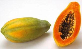 反胃可以吃瓜吗,吃瓜真的可行吗？揭秘瓜类食物对反胃的影响