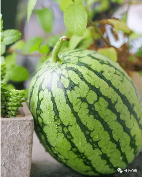 透过心吃瓜,揭秘娱乐圈背后的真实故事