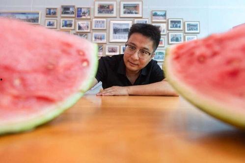 吃瓜科学家,趣味科普背后的科学精神