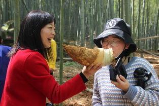 吃瓜直播间竹笋