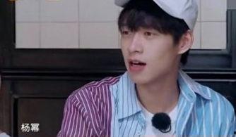 钟瑶吃瓜前线,揭秘娱乐圈幕后故事