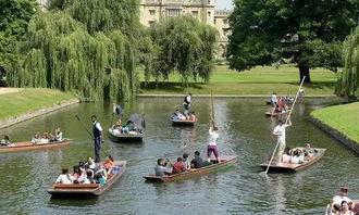 吃瓜船哪里看,独家视角带你领略精彩瞬间