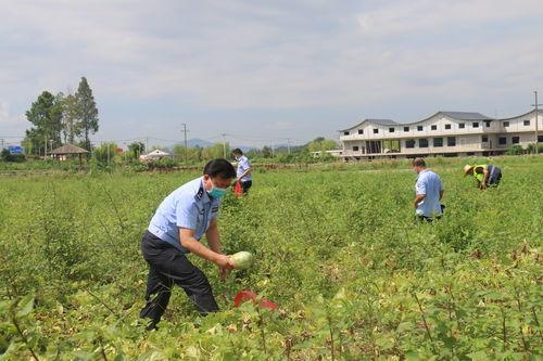 河边吃瓜群众,见证历史瞬间