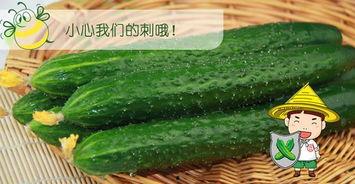 今日吃瓜最新吃瓜