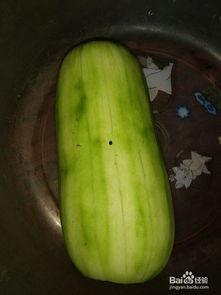 葫芦瓜炸多久可以吃,美味即刻享用