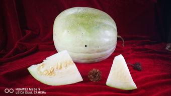 产妇可以吃三白瓜吗,三白瓜的营养与益处