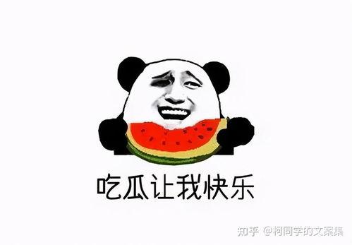 吃瓜局是真的吗,真相还是谣言？