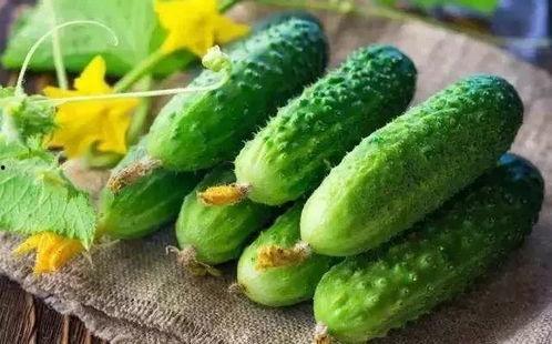 春天吃芽夏天吃瓜