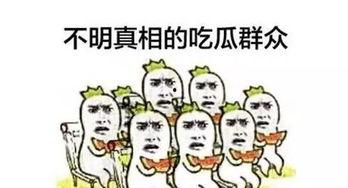 吃瓜路人总是被